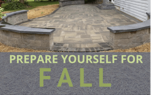 Read more about the article Prepare Yourself For Fall!