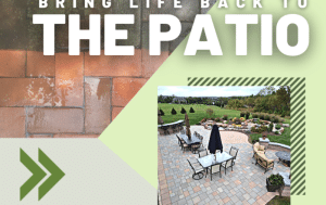 Read more about the article Bring Life Back To The Patio!
