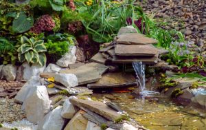 Read more about the article Caring for Your Water Feature During Fall/Winter