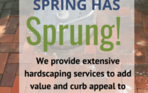 Read more about the article Spring Has Sprung!