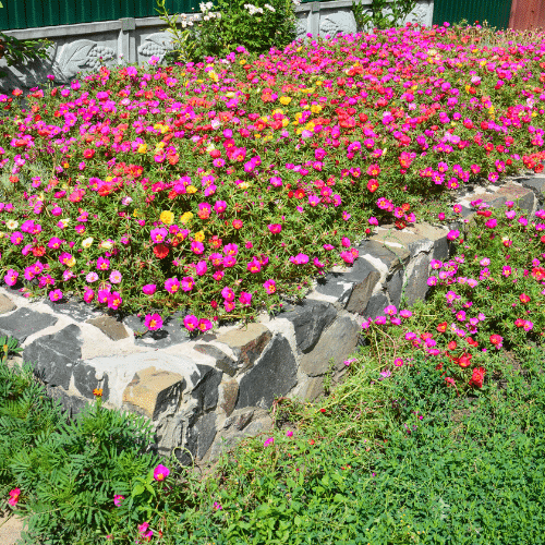 Spring hardscaping flower bed